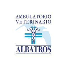 veterinario pontecagnano|Ambulatorio Veterinario Albatros